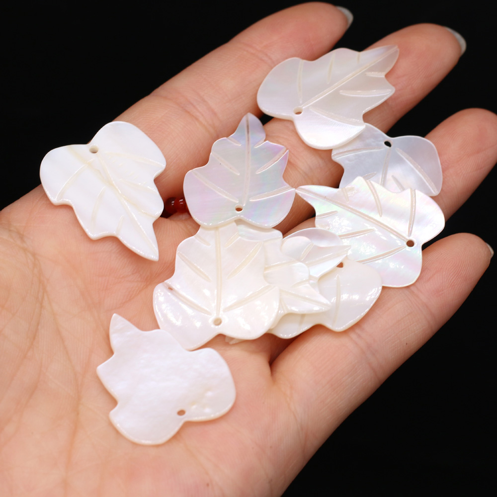 Bộ 5 Hoa Tự Nhiên Hoa Trắng Vỏ - đánh giá và giá Mother Of Pearl Shell Pendant Necklace